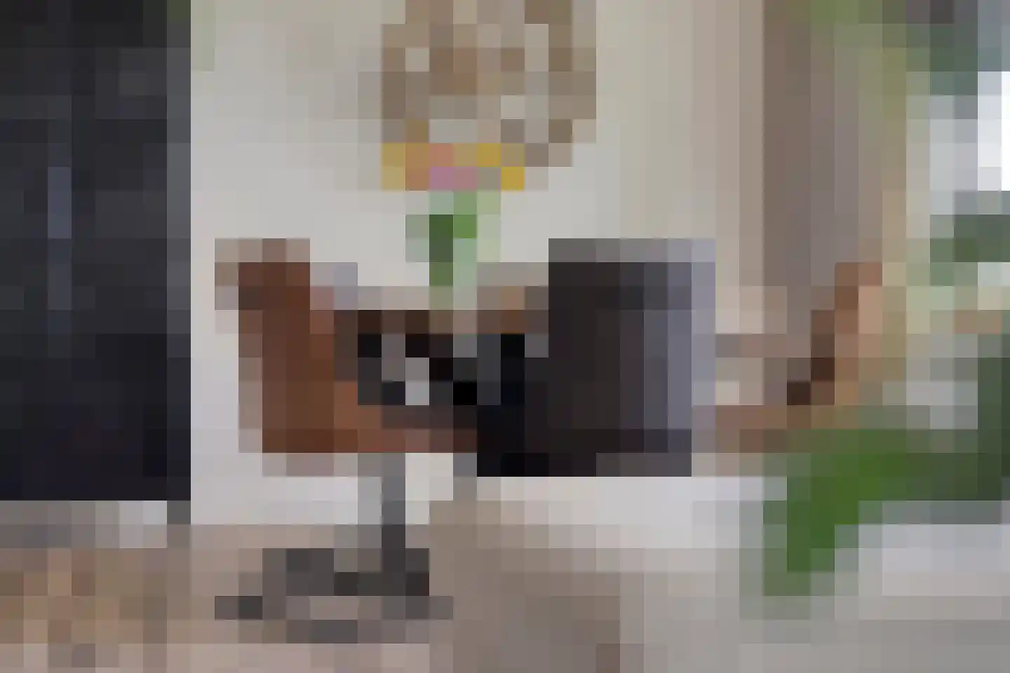 Scherpbierseweg 15 Groede thumbnail 13