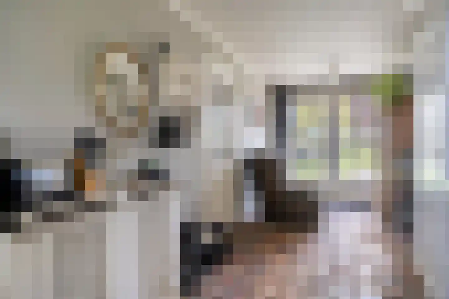 Scherpbierseweg 15 Groede thumbnail 20