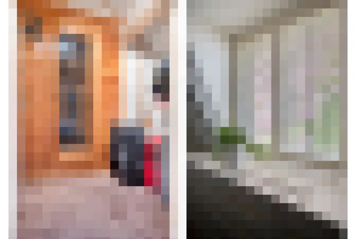 Scherpbierseweg 15 Groede thumbnail 26