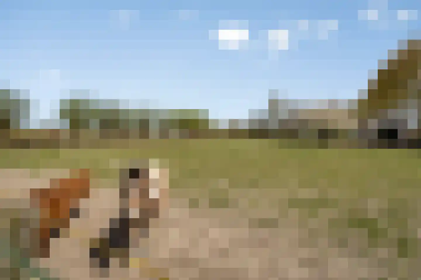 Scherpbierseweg 15 Groede thumbnail 36