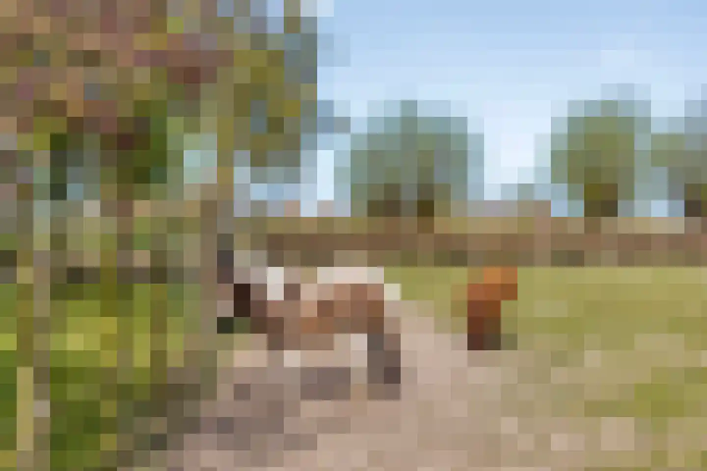 Scherpbierseweg 15 Groede thumbnail 37