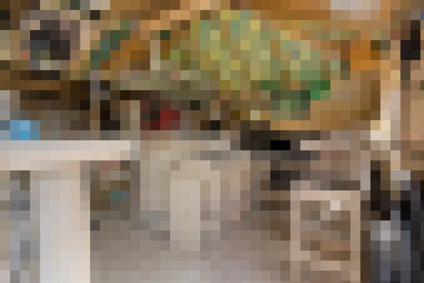 Scherpbierseweg 15 Groede thumbnail 48