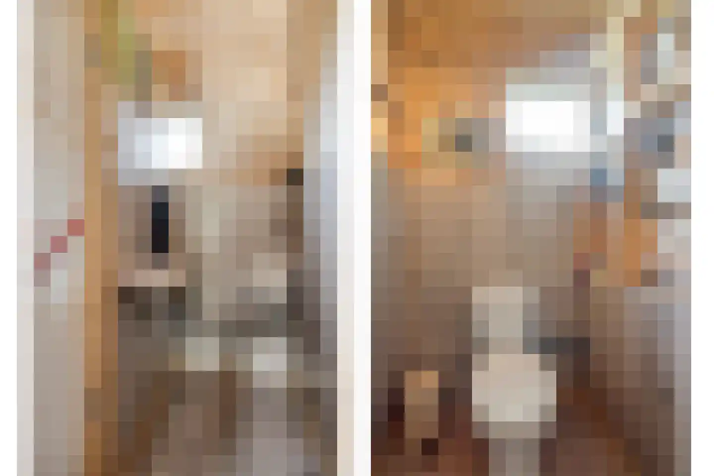 Scherpbierseweg 15 Groede thumbnail 49