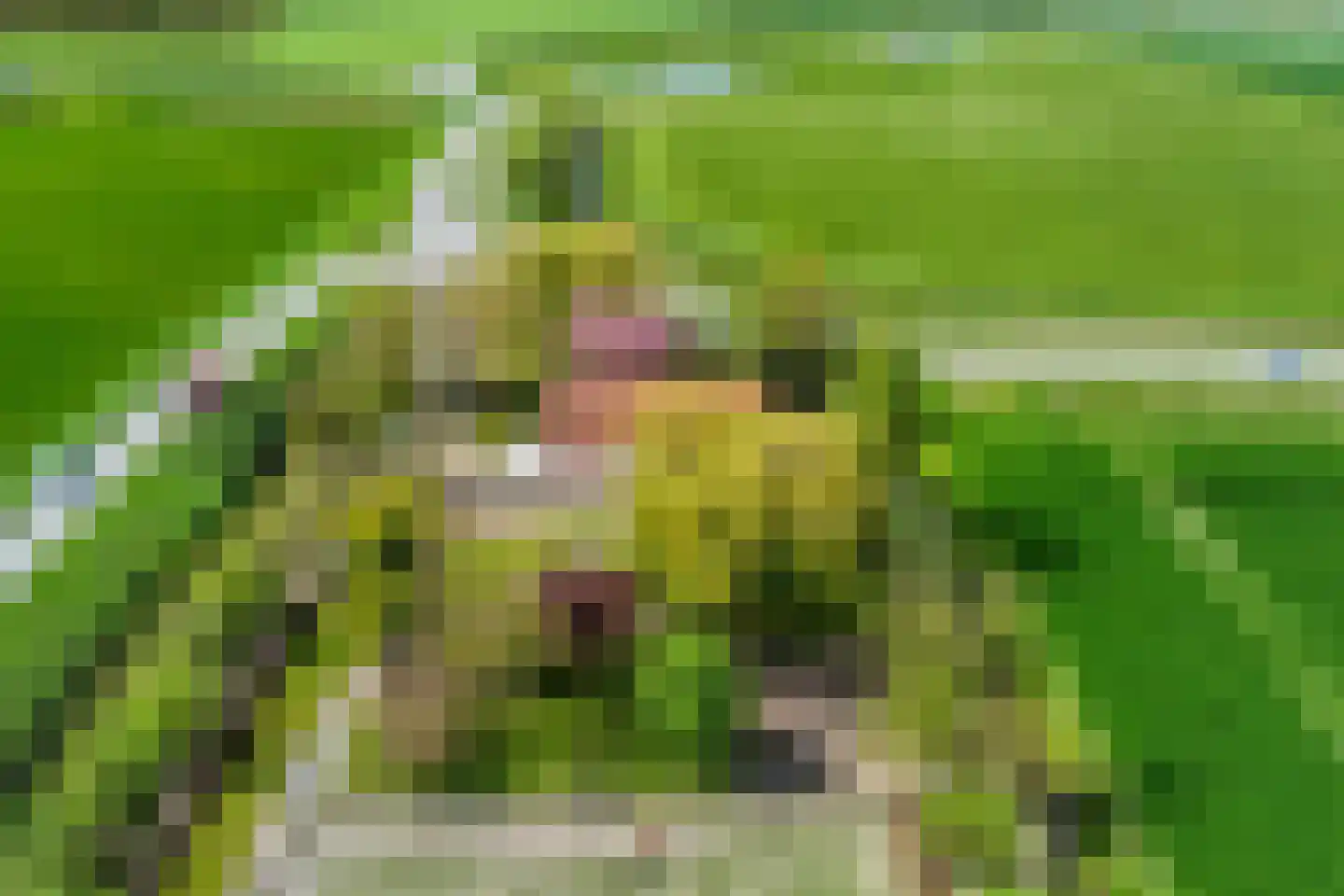 Scherpbierseweg 15 Groede thumbnail 52