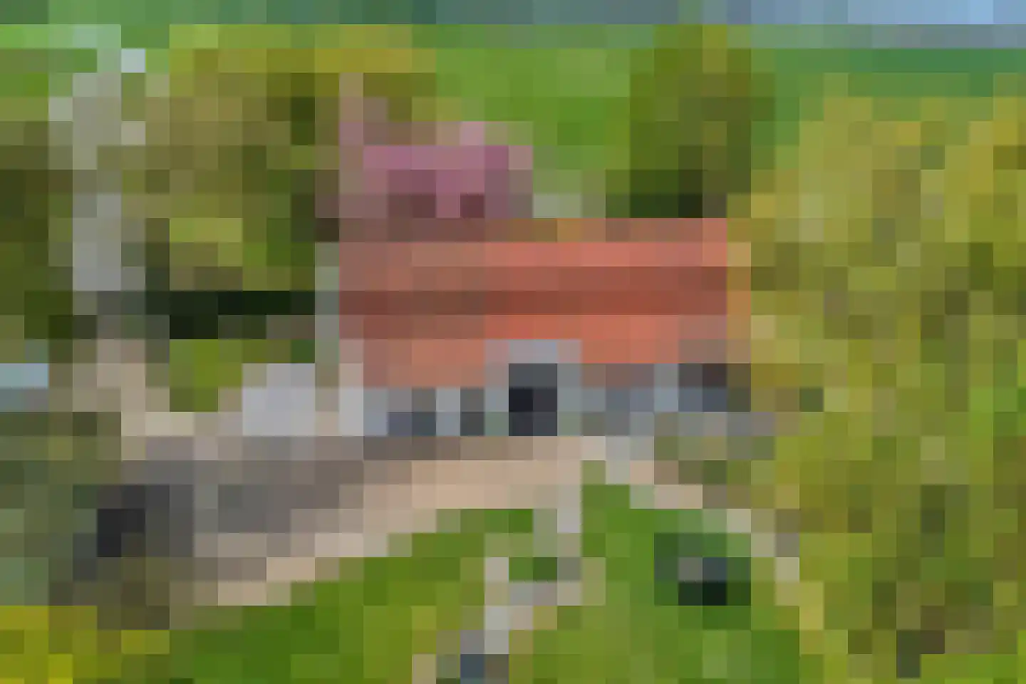 Scherpbierseweg 15 Groede thumbnail 53
