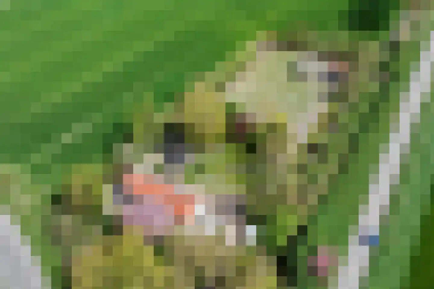 Scherpbierseweg 15 Groede thumbnail 54