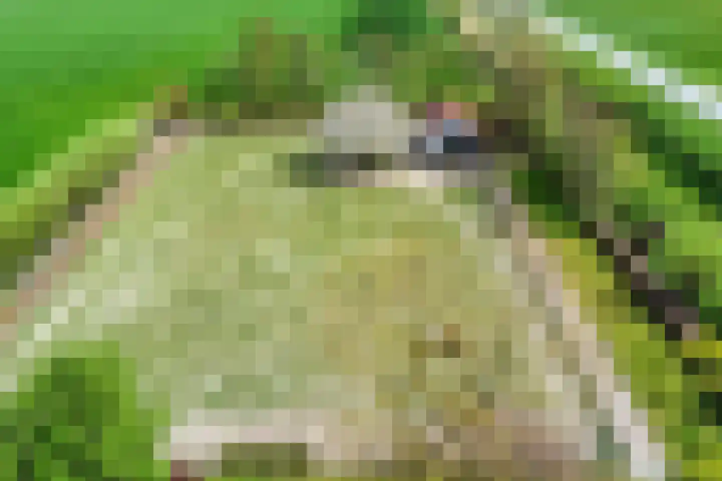Scherpbierseweg 15 Groede thumbnail 55