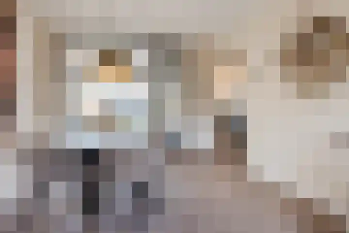 Scherpe Egtel 9 Epe thumbnail 10