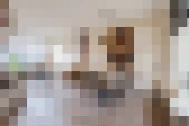 Scherpe Egtel 9 Epe thumbnail 11