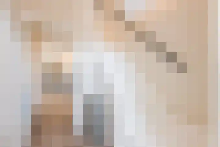 Scherpe Egtel 9 Epe thumbnail 17