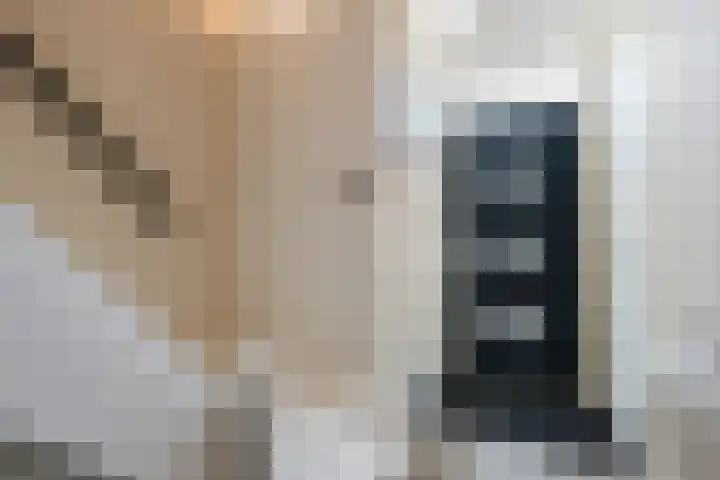 Scherpe Egtel 9 Epe thumbnail 18