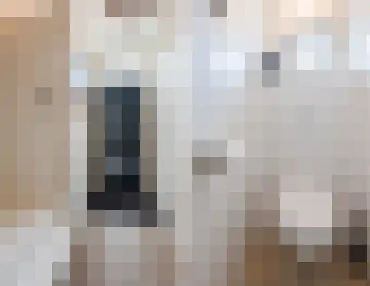 Scherpe Egtel 9 Epe thumbnail 19