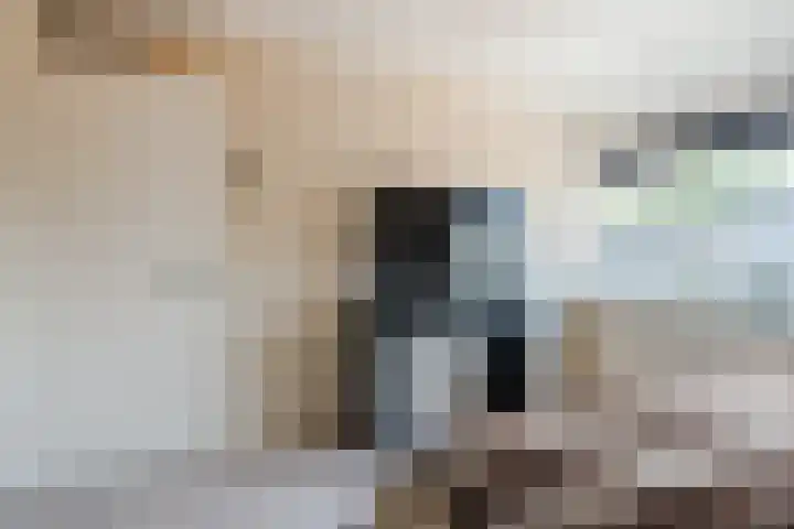 Scherpe Egtel 9 Epe thumbnail 23