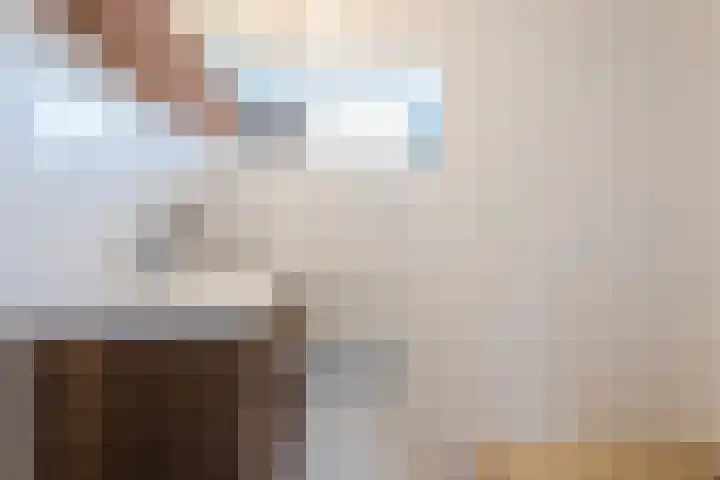 Scherpe Egtel 9 Epe thumbnail 28