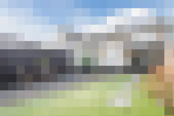 Scherpe Egtel 9 Epe thumbnail 33