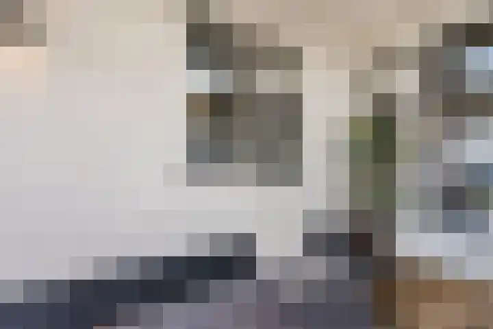 Scherpe Egtel 9 Epe thumbnail 34