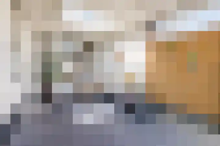 Scherpe Egtel 9 Epe thumbnail 35