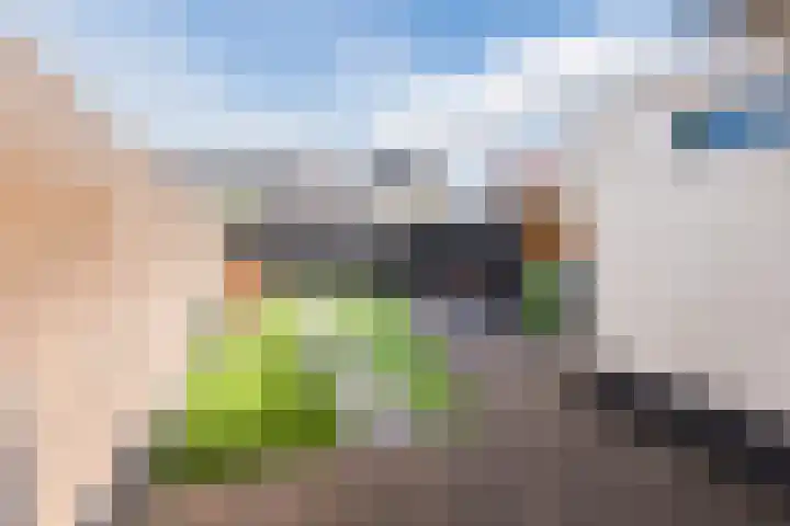 Scherpe Egtel 9 Epe thumbnail 36