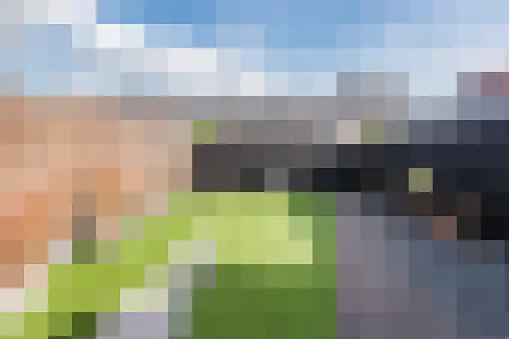 Scherpe Egtel 9 Epe thumbnail 37