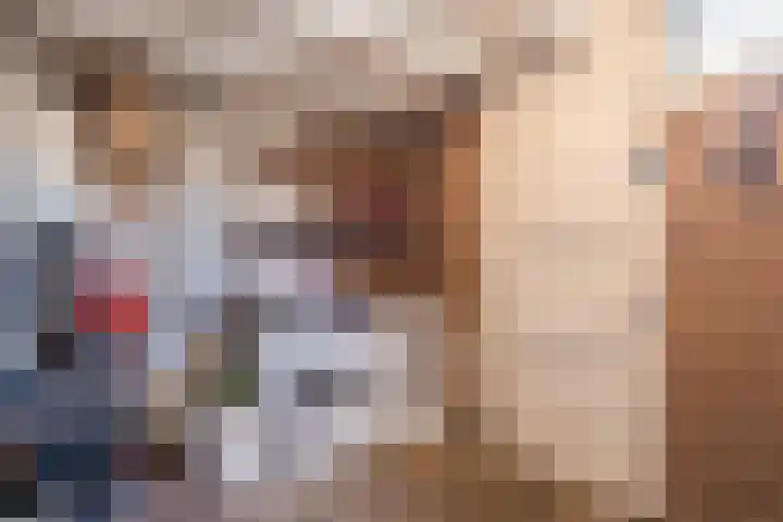 Scherpe Egtel 9 Epe thumbnail 41