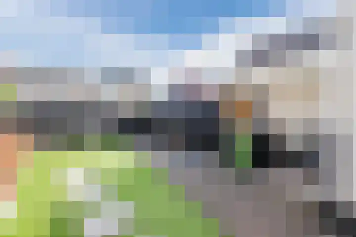 Scherpe Egtel 9 Epe thumbnail 42