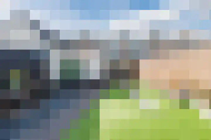 Scherpe Egtel 9 Epe thumbnail 43