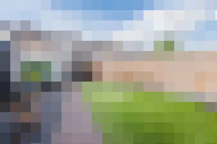 Scherpe Egtel 9 Epe thumbnail 44