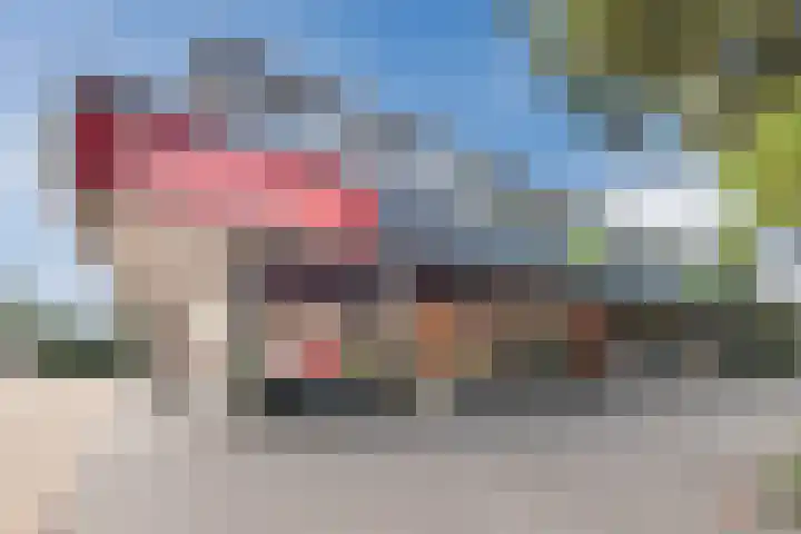 Scherpe Egtel 9 Epe thumbnail 45