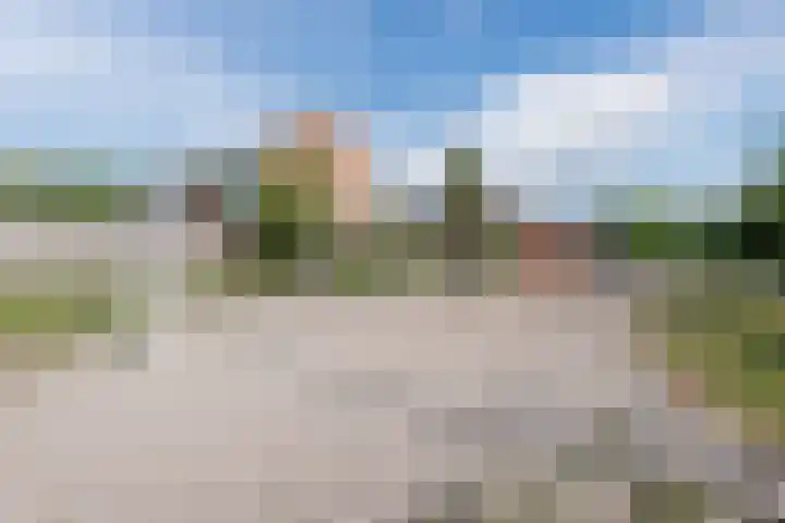 Scherpe Egtel 9 Epe thumbnail 46