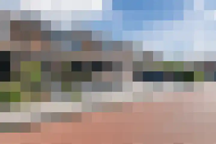 Scherpe Egtel 9 Epe thumbnail 5
