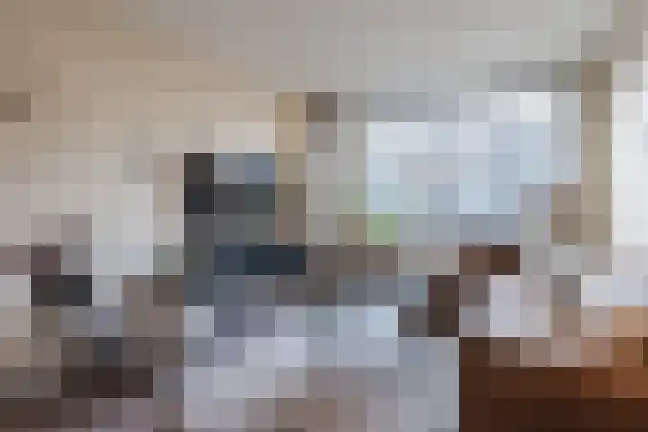 Scherpe Egtel 9 Epe thumbnail 7