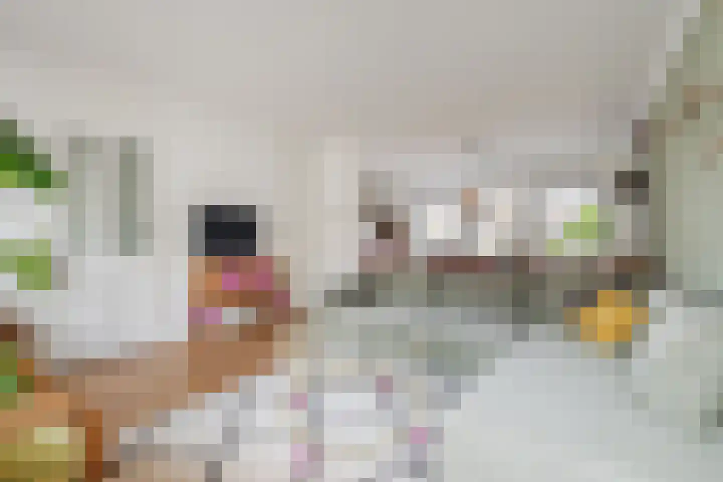 Scherpe Hoek 43 Doornenburg thumbnail 11