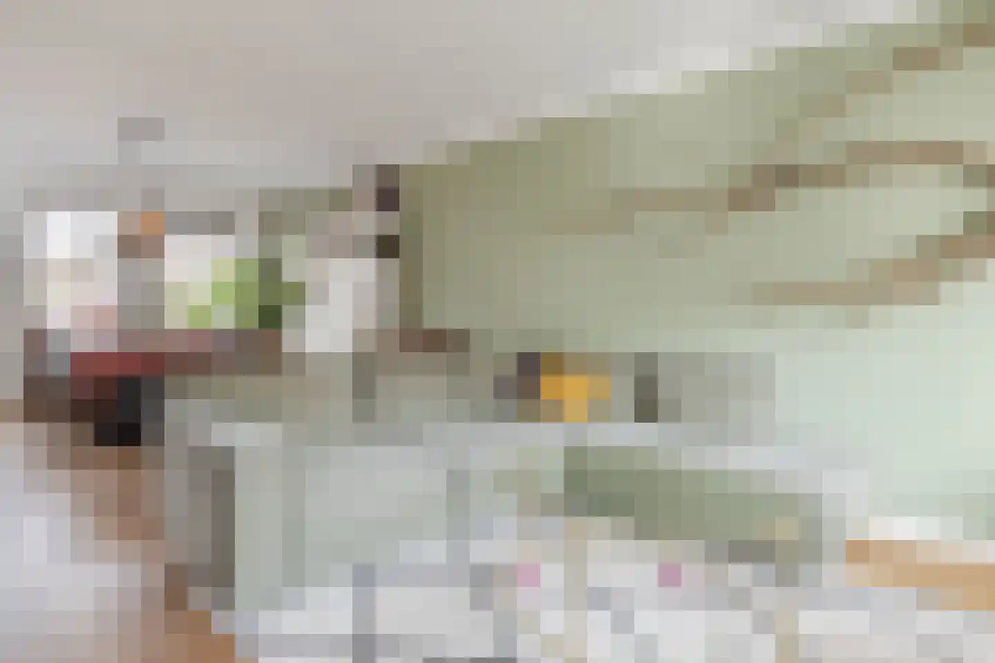 Scherpe Hoek 43 Doornenburg thumbnail 13