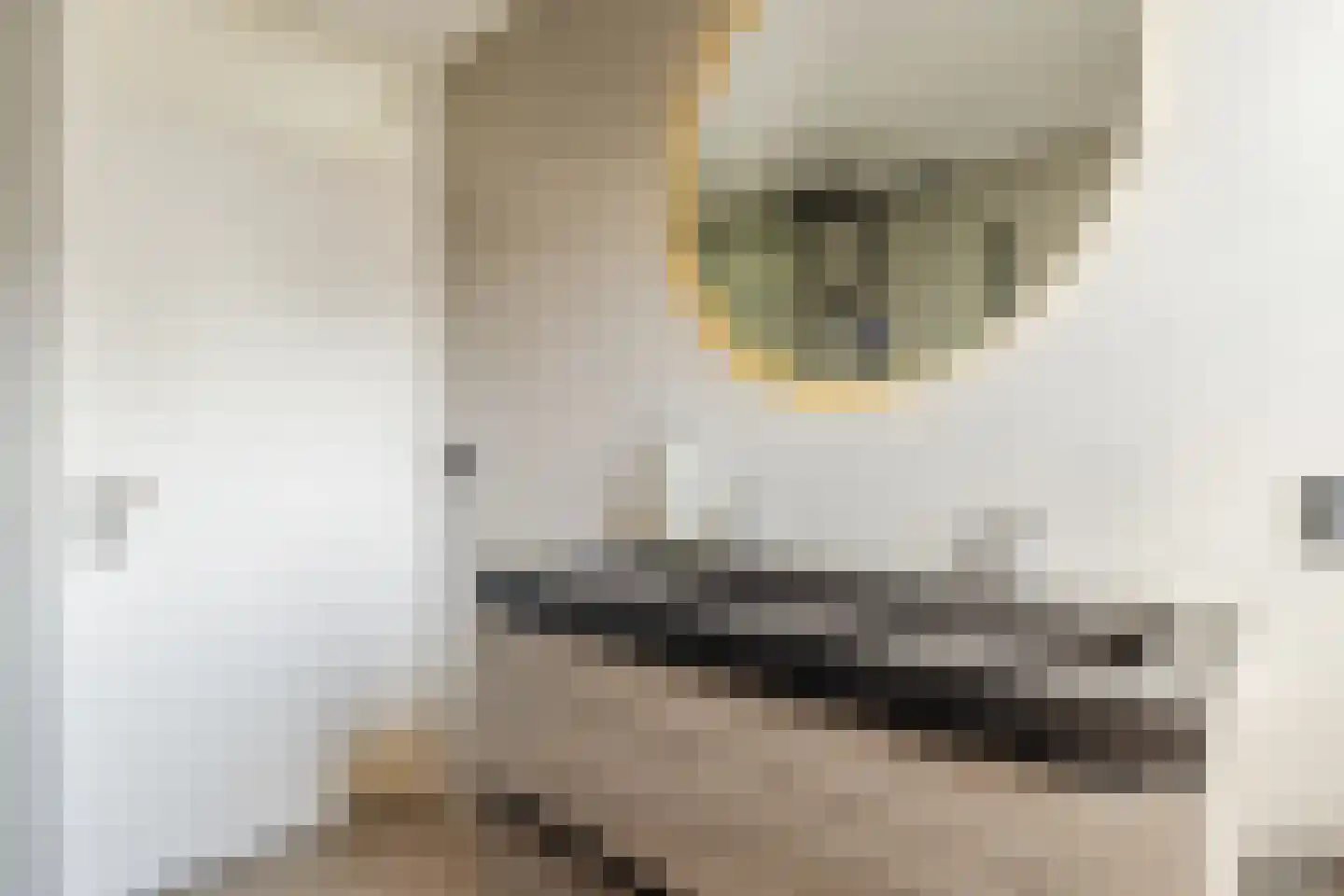 Scherpe Hoek 43 Doornenburg thumbnail 31