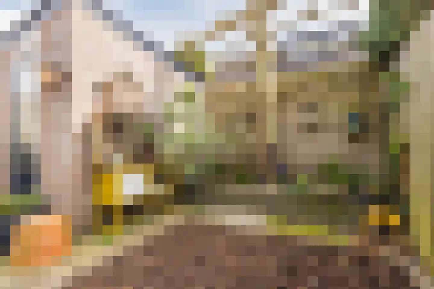 Scherpe Hoek 43 Doornenburg thumbnail 46