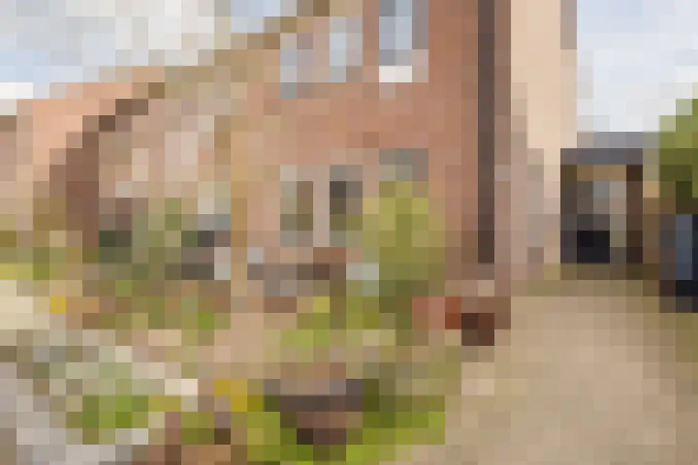 Scherpe Hoek 43 Doornenburg thumbnail 5