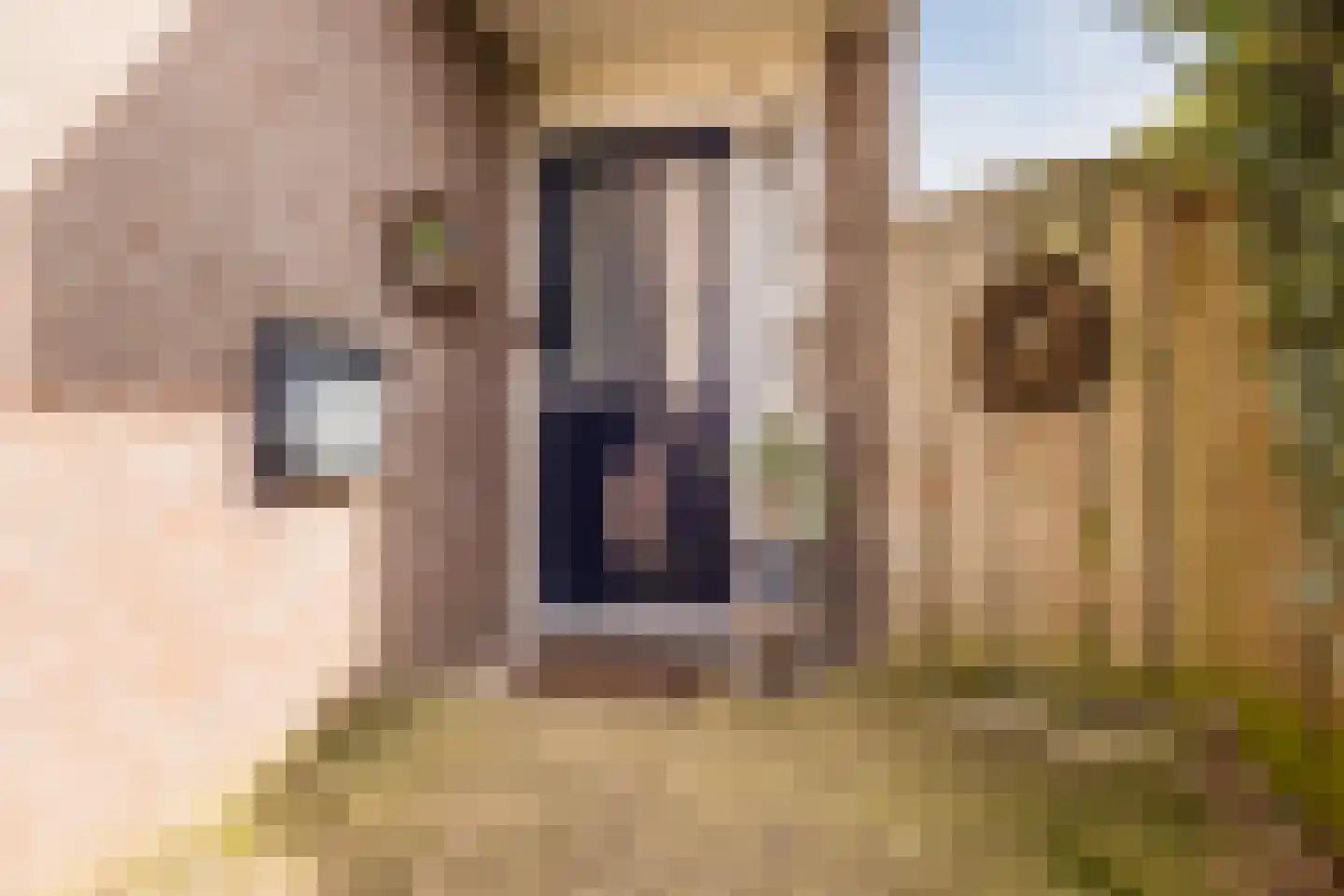 Scherpe Hoek 43 Doornenburg thumbnail 6