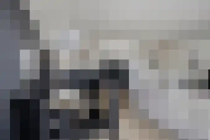 Scherpenakker 29 Breda thumbnail 10