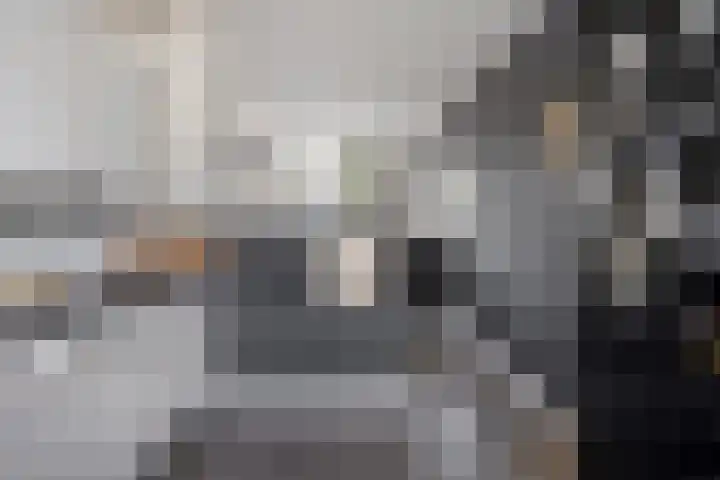 Scherpenakker 29 Breda thumbnail 11