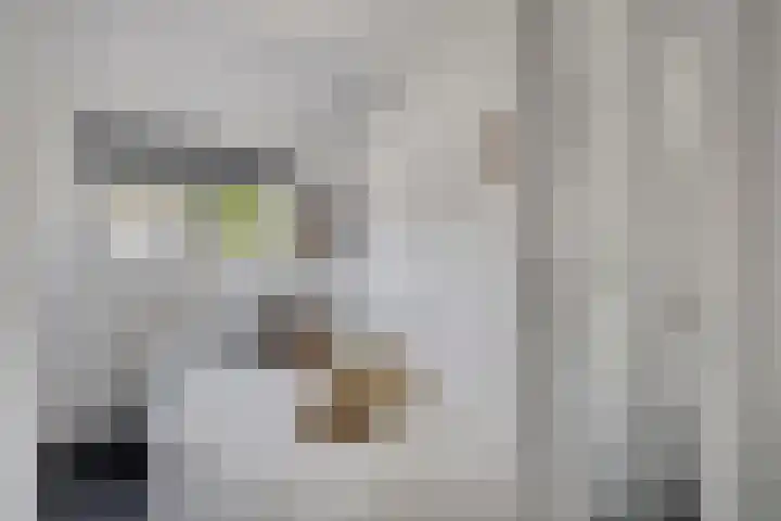 Scherpenakker 29 Breda thumbnail 18