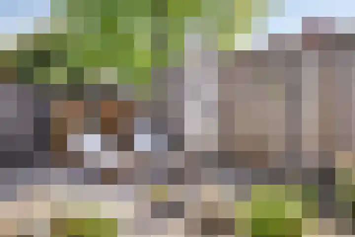 Scherpenakker 29 Breda thumbnail 20