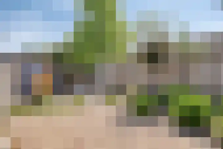 Scherpenakker 29 Breda thumbnail 21
