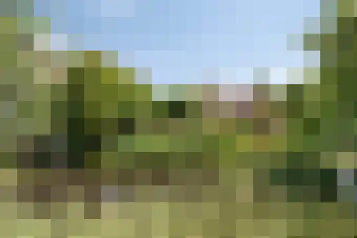 Scherpenakker 29 Breda thumbnail 22