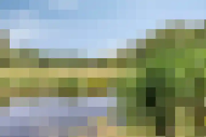 Scherpenakker 29 Breda thumbnail 23