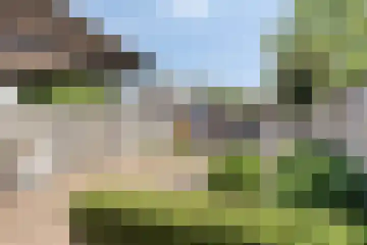 Scherpenakker 29 Breda thumbnail 26