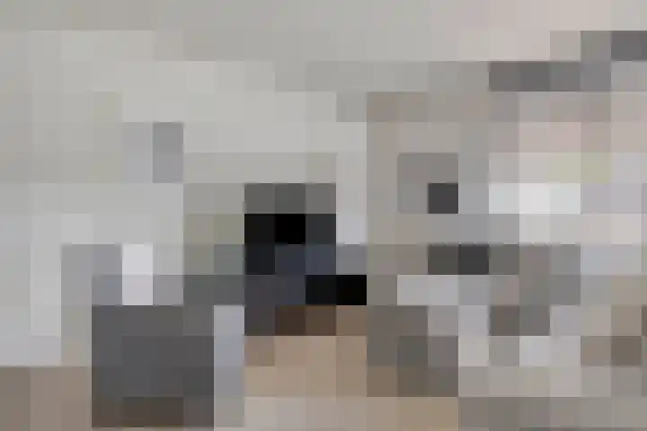 Scherpenakker 29 Breda thumbnail 4