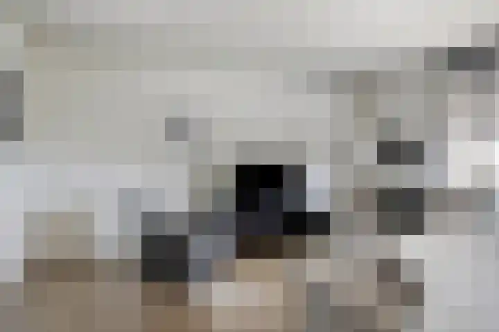 Scherpenakker 29 Breda thumbnail 6