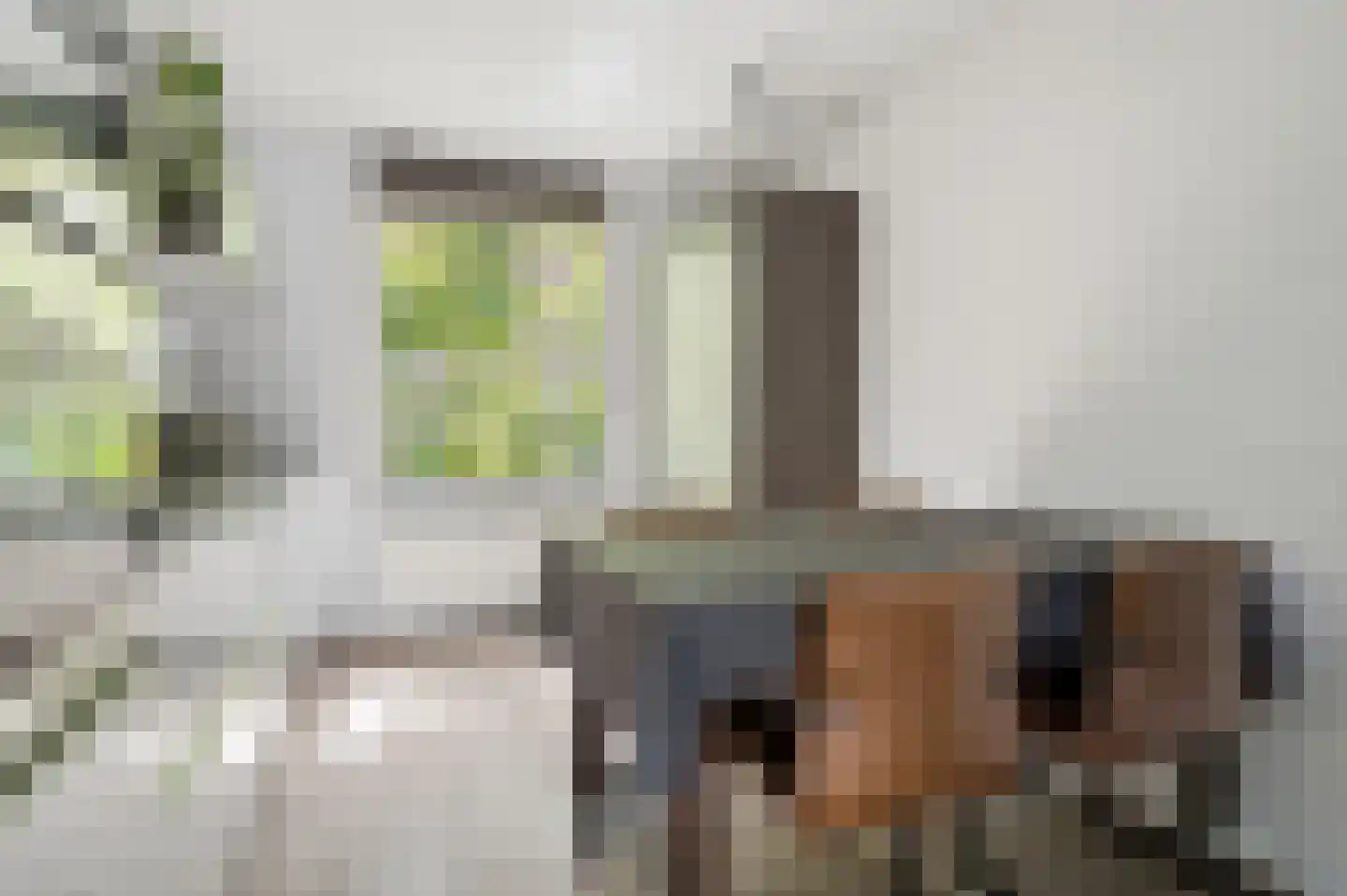 Scherpenakker 41 Breda thumbnail 17