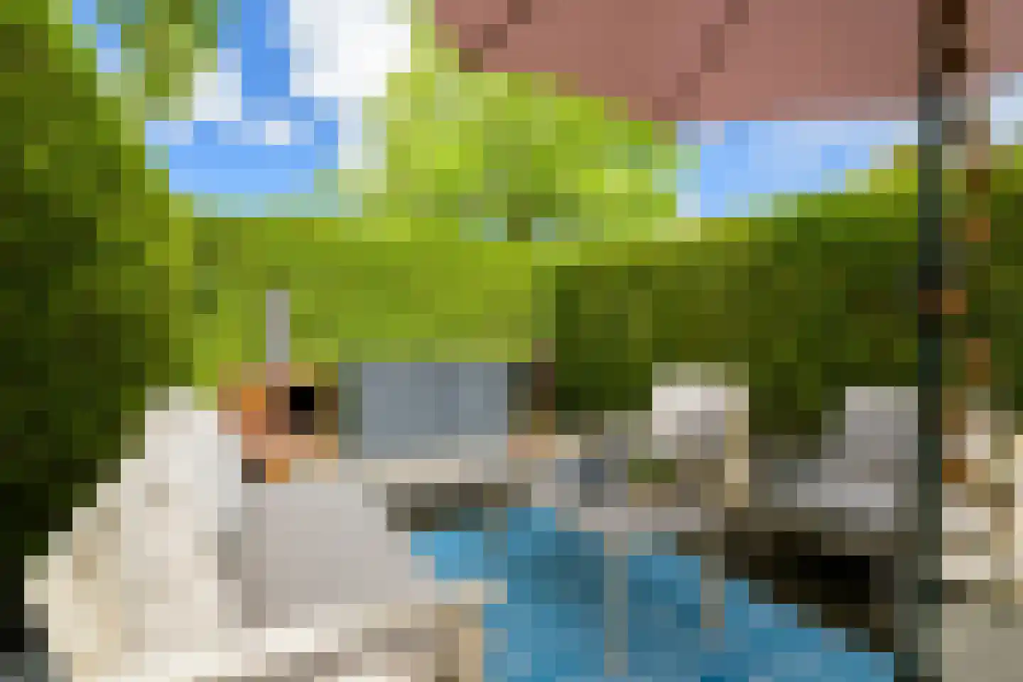 Scherpenakker 41 Breda thumbnail 29
