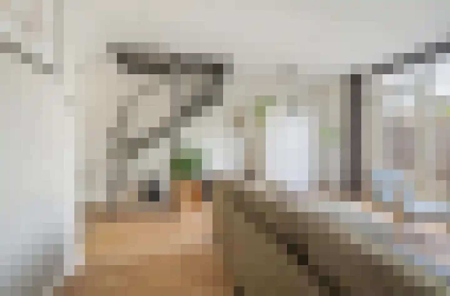 Scherpenakker 41 Breda thumbnail 4